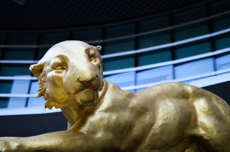 Lion squatのeditorial素材