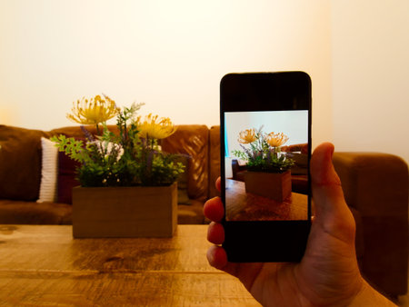 Man shooting a photo of a bed of flowers on phone.の写真素材