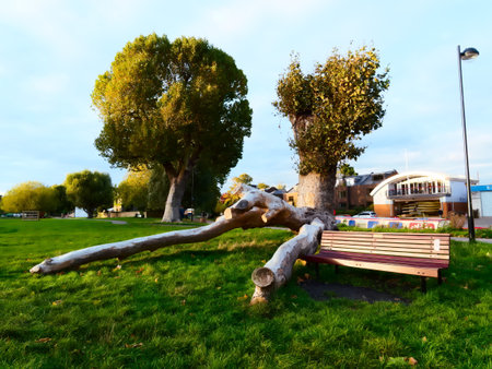 Fallen tree lying beside a park bench on Midsummer's Common in Cambridge, United Kingdom after Storm Benjaminの写真素材
