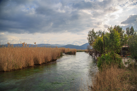Reeds in azmak river in akyaka, mugla, Turkey.の写真素材
