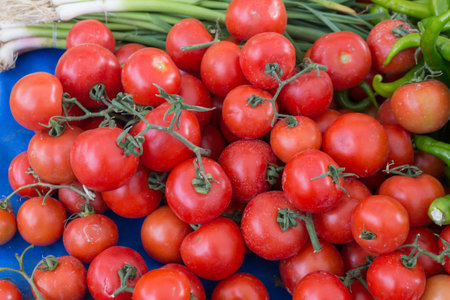 Natural tomatoes with small green onions and peppersの写真素材