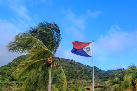 St. Maarten flag with palm treeの写真素材