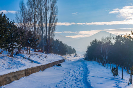 Forest near Abdurrahman gazi area in Erzurum, Turkey