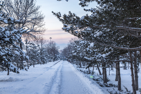 Walking path with snow in Erzurum during winterの写真素材