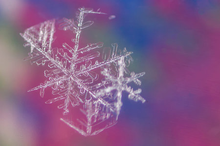 Snow flakes on colorful background