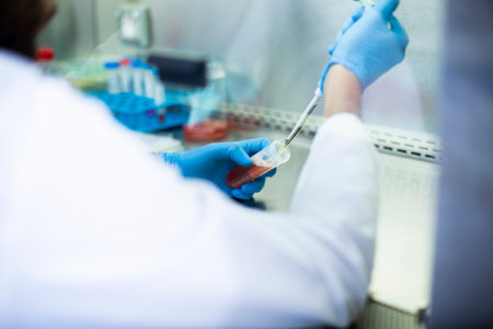 cell culture at the medicine and medical laboratory