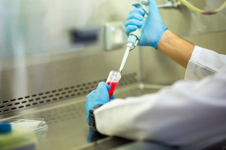 cell culture