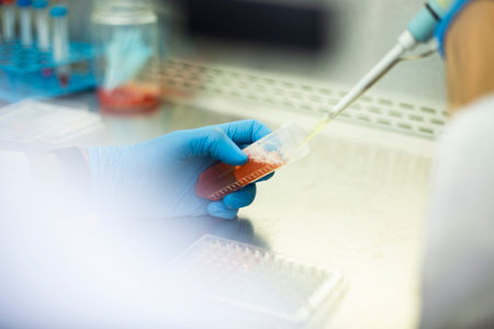 cell culture at the medicine, medical and cell culture laboratoryの写真素材