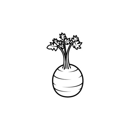 Mediterranean food, stalked and leafy celery, vector illustrationのイラスト素材