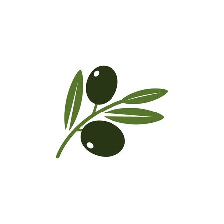 Olive branch, leaves and olives, vector illustrationのイラスト素材