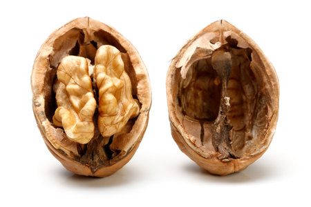 Half a piece of walnut. isolated on a white background