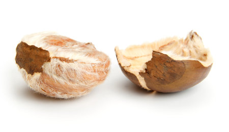 Chestnuts isolated on white background