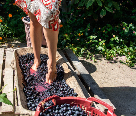 girl who is grappingの写真素材