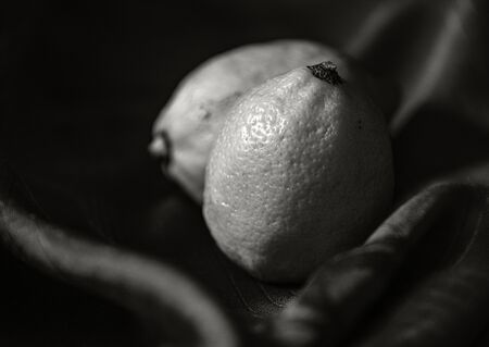 still life photo taken with orange and lemonの写真素材