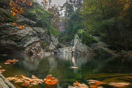 wonderful colors of autumn and natureの写真素材