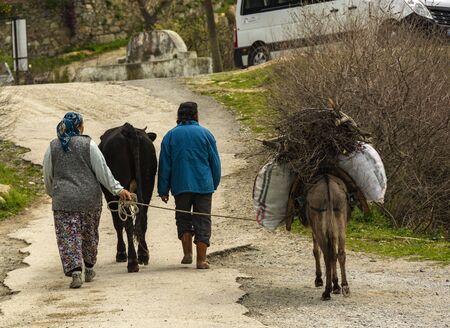 peasant going with the donkeyの写真素材