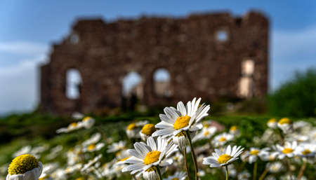 Ildiri, a windy fishing village on the ÃeÅme Peninsula, is a holiday resort where history meets natural beauties.の写真素材