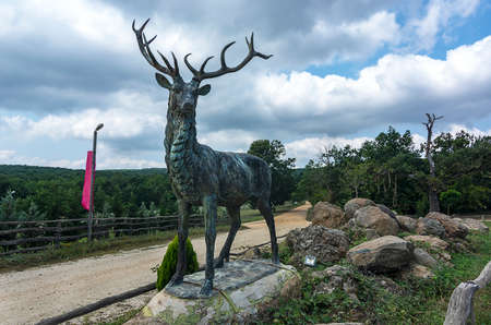longoz forests in Igneadaの写真素材