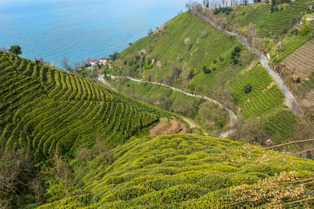 village roads in the black seaの写真素材