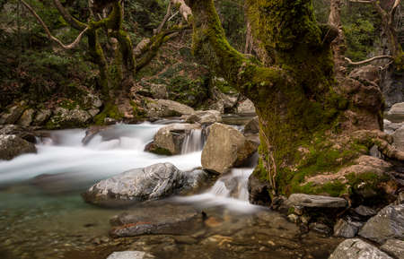The Double Bridge on the road between Arili and KÃ¼Ã§Ã¼kkÃ¶y was constructed with pointed arched, one-eyed and cut stone materials reflecting the traditional Black Sea architecture.の写真素材
