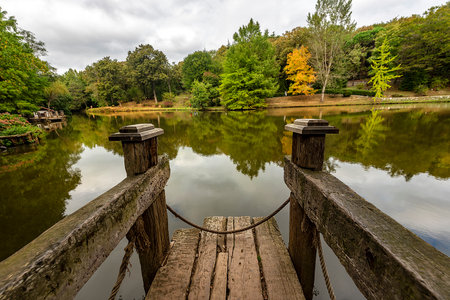 AtatÃ¼rk Arboretum is a large green area in the SarÄ±yer district of Istanbul, on the Kemerburgaz-BahÃ§ekÃ¶y road, where trees and woody plants are displayed.の写真素材