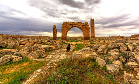 Historical Harran University, Urfa, Turkeyの写真素材