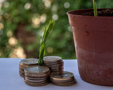 A lot of effort is spent on sustainable financial resources