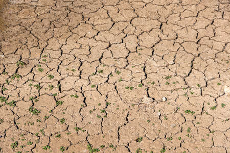 Drought is the greatest danger of our time, wetlands are drying up day by day.の写真素材
