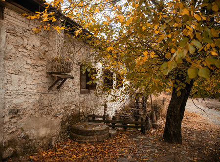 Autumn landscape with old house in the village. Ukraine, Europeの写真素材