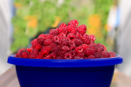 Cupful of ripe juicy raspberries on the table