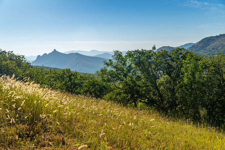 summer forest glade in the Crimean mountainsの写真素材