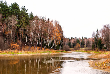 Autumn landscape with forest and lake in the afternoonの写真素材