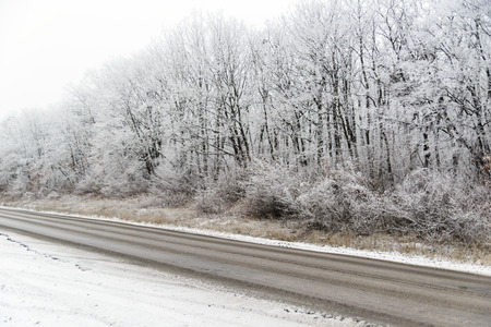 Winter landscape, snow-covered forest near the roadの写真素材