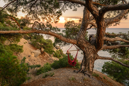 Amazing sunset on a rocky hill in a quiet place by the sea. Hammock in the trees. Mixture pastel colors.の写真素材