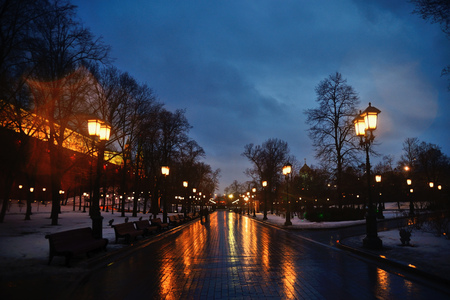 Night winter landscape in the alley of city park in Moscowの写真素材