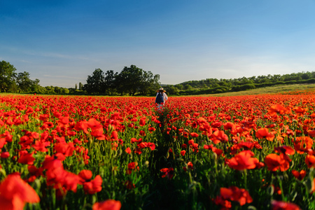 Girl in a hat in the center of a poppy field leaves into the distance, freedom, unity with natureの写真素材