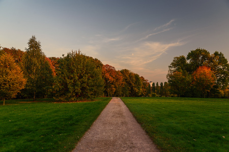 straight path in the autumn parkの写真素材