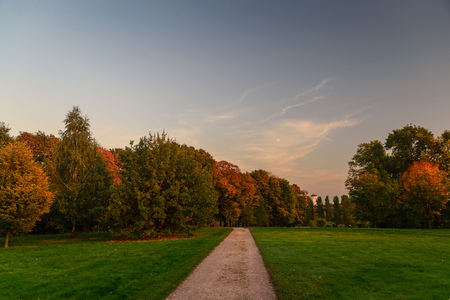 straight path in the autumn parkの写真素材