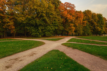 straight path in the autumn parkの写真素材