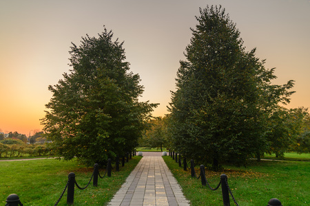 straight path in the autumn parkの写真素材