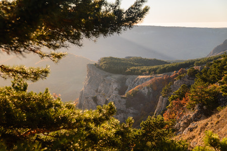 View from the mountain to the autumn forest and the valley at sunsetの写真素材