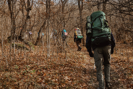 Group of tourists in the autumn forest, view from the backの写真素材