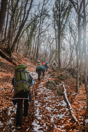 Group of tourists in the winter forest, view from the backの写真素材