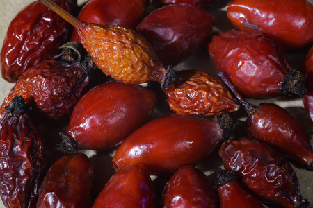 Dried rose hips closeupの写真素材