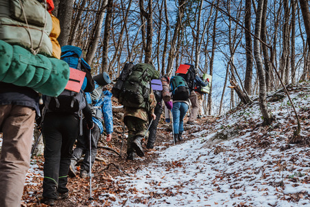 Group of tourists in the winter forest, view from the backの写真素材