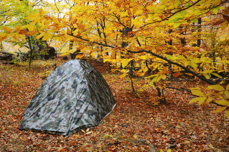 Camouflaged tent in the autumn forest early in the morningの写真素材