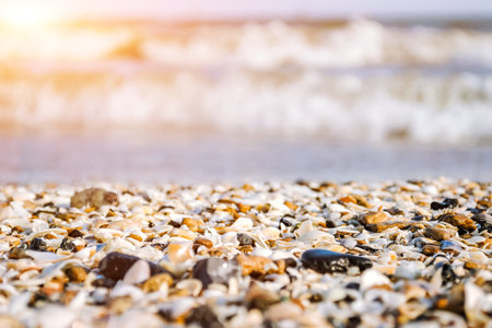 Sea coast, seashells, close-up, the sea out of focus, summer bright day, warm toning...の写真素材