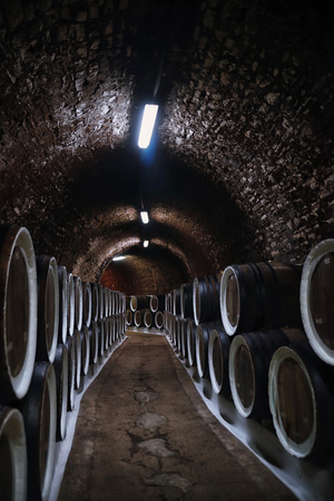Old oak wine barrels in the cellar of the wineryの写真素材