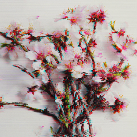 Romantic background of spring varied colors in glitch effectの写真素材
