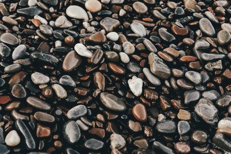 Wet sea pebbles on the seashoreの写真素材